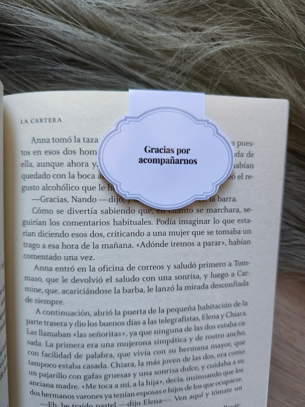 Bodas con MagnetizaMe