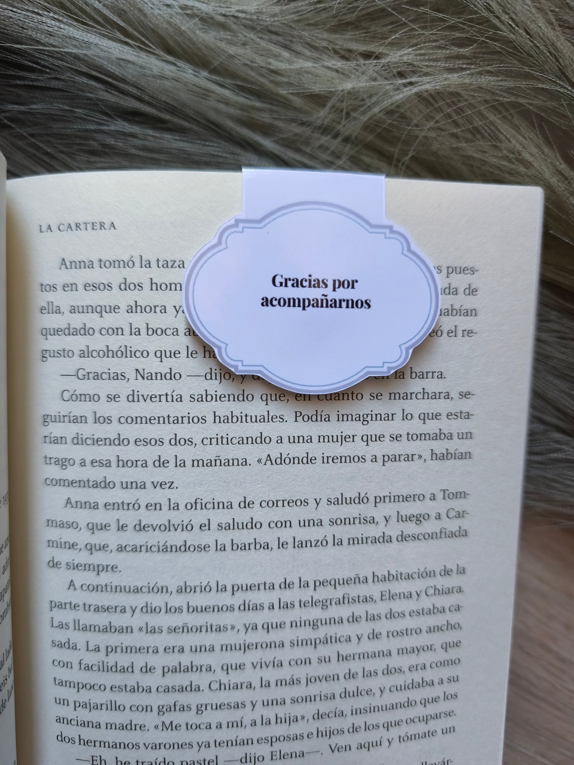 Bodas con MagnetizaMe